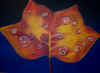 2168142AutumnLeaf.jpeg (34433 bytes)