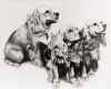 JanzenDogs.jpg (126434 bytes)