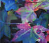 leaves.jpg (71464 bytes)