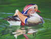 2watmandarin.jpg (564497 bytes)